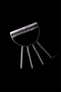 Bear Claw Steak And Beer